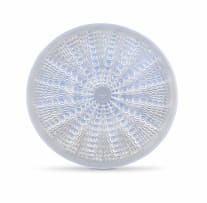 A René Lalique 'Oursins No. 2' opalescent, blue and clear glass dish designed in 1935