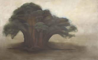 Arabella Caccia; Baobab