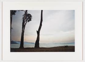 Guy Tillim; Gum Trees Planted in Colonial Times and Stripped of their Branches Line the Eastern Edge of Lake Kivu