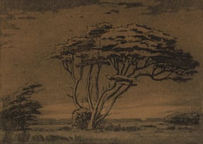 Jacob Hendrik Pierneef; Study of a Tree