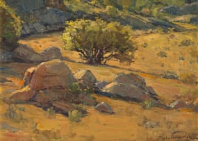 Piet van Heerden; Landscape with Rocks and Bush