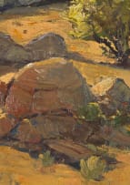 Piet van Heerden; Landscape with Rocks and Bush