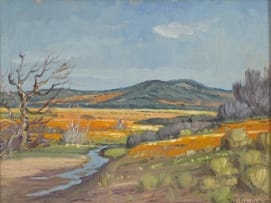 Piet van Heerden; Namaqualand Landscape and Stream