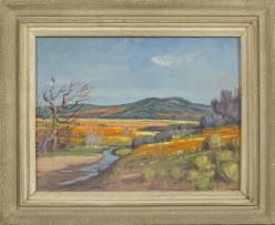 Piet van Heerden; Namaqualand Landscape and Stream