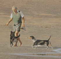 Kim Donaldson; A Walk on the Beach