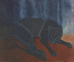 Paul du Toit; Cat Sleeping