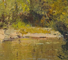 Errol Boyley; Mirrored Gold – Knysna Forest