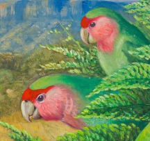Phillip Alexander Clancey; Rosy-Faced Lovebirds