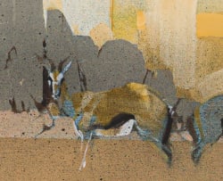 Keith Joubert; Herd of Springbok