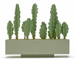 Henry Davies; Cactus Box
