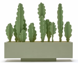 Henry Davies; Cactus Box