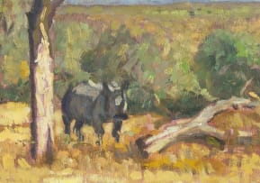 Zakkie Eloff; Rhino and Jackal in Wooded Veld