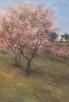 John Meyer; Blossoms
