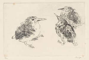 François Krige; Portrait of a Man; Owl; and Kingfisher Chicks, three