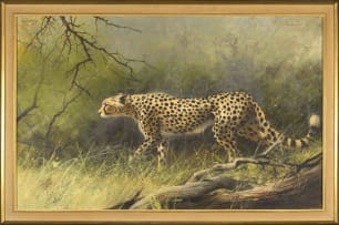 Harold Voigt; Cheetah