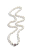 Strand of opera length pearls