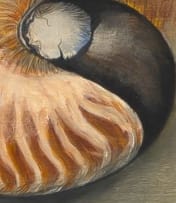 Ernst de Jong; Nautilus