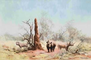 David Shepherd; Rhinos and Termites
