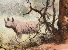 David Shepherd; Rhinos and Termites