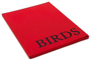 Jules van de Vijver; Birds, portfolio