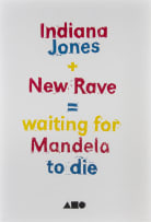 Avant Car Guard; Indiana Jones + New Rave = Mandela waiting to Die, Dumb Colour Guide to Stuff Series