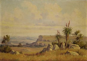 Christopher Tugwell; Landscape with Aloes