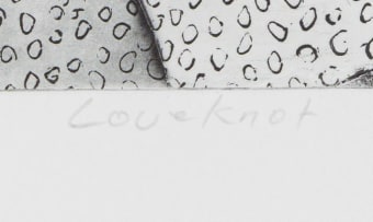 Vincent Baloyi; Love Knot