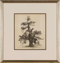 Nita Spilhaus; Tree with Cape Dutch House