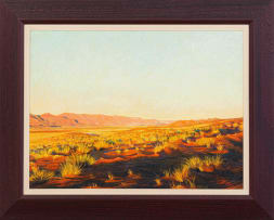 Walter Meyer; Wintergrass, Namib