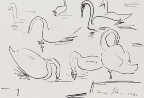 Irma Stern; Swans