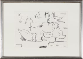 Irma Stern; Swans
