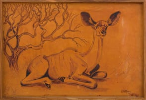 Hans Anton Heinrich Aschenborn; Resting Kudu