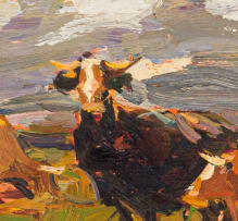 Adriaan Boshoff; Cattle