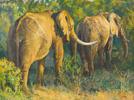 Zakkie Eloff; Two Elephants in the Kruger Park