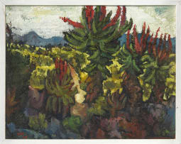 Johannes van Heerden; Aloe Scape, recto; Still Life, verso