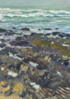 Terence McCaw; Coastal Landscape