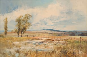 Christopher Tugwell; Landscape, Dam, Fence and Trees
