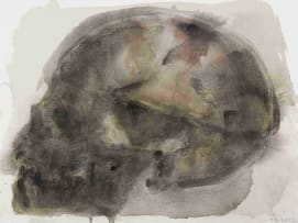 Joni Brenner; Skull Series (III)
