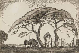Jacob Hendrik Pierneef; Camel Thorn and Voortrekker House
