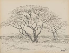 Jacob Hendrik Pierneef; Thorn Trees, S.W.A.