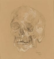Gregoire Boonzaier; Skull