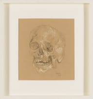 Gregoire Boonzaier; Skull