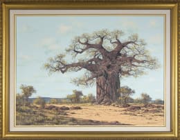 Francois Badenhorst; Baobab