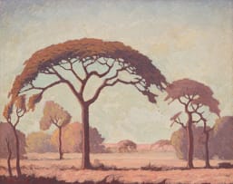 Jacob Hendrik Pierneef; Thorn Tree
