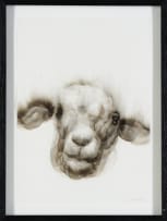 Diane Victor; Lamb II