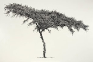 Esias Bosch; Tree