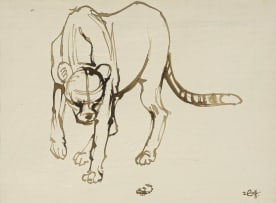 Zakkie Eloff; Cheetah I