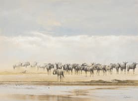 Kim Donaldson; Wildebeeste