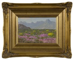 Jan Ernst Abraham Volschenk; Spring Flowers, Namaqualand
