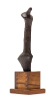 Speelman Mahlangu; Abstract Figure